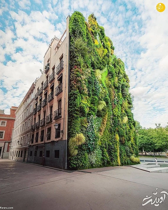 این باغ عمودی در مادرید اسپانیا واقع شده است